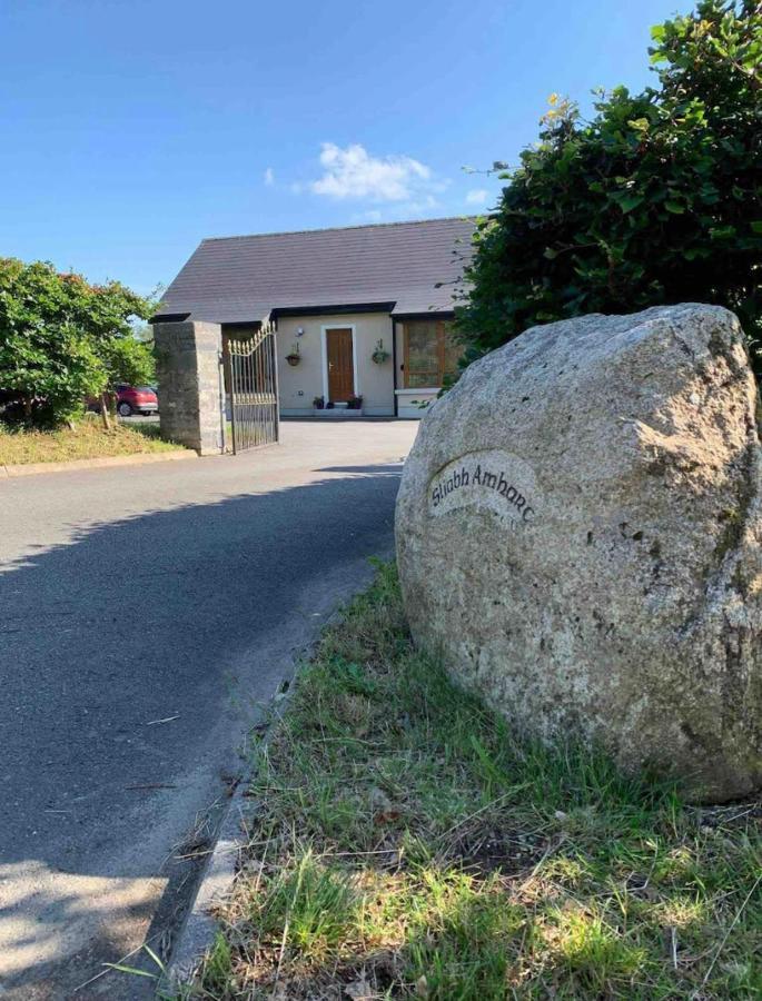 Appartement Sliabh Amharc à Laragh Extérieur photo